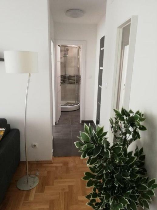 Apartments Ali Загреб Екстер'єр фото